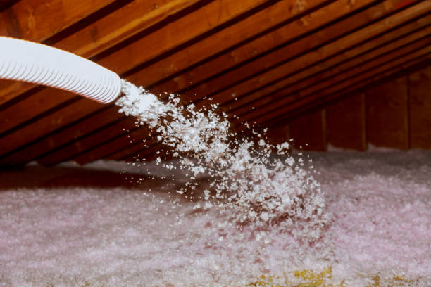 Best Spray Foam Insulation  in Old Jefferson, LA