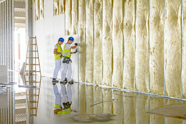 Best Blown-In Insulation  in Old Jefferson, LA